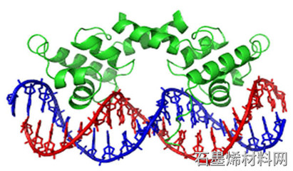 阿徹和阿德萊德大學開發基于石墨烯的生物傳感器